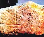 ITHAKH_pinakida