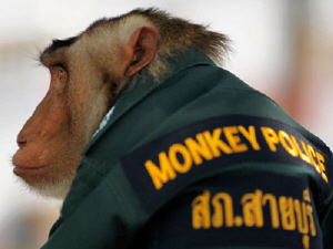 Αστυνομικοί μαϊμού