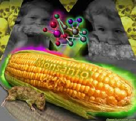 Έρχεται η αστυνομία τροφίμων! Monsanto: παράνομοι οι μικροκαλλιεργητές!