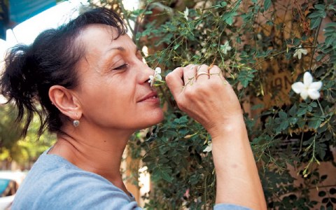 Η γειτονιά των γλυκών αντιθέσεων « Διαφορα