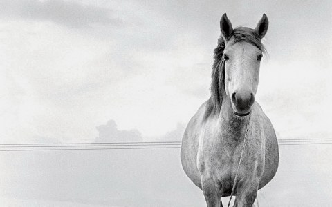 ‘»¿³¿. ‘Àό Ä· ´¿Å»µ¹ά Ä·Â « ¤±Àµ¹½όÂ  ±Áά´µ¹Ã¿Â». — έº¸µÃ· Æ¹»¿¾µ½ή¸·ºµ ±ÁÇ¹ºά ÃÄ· £Ç¿»ή ŸÅÁÃ¿Å»¹½ώ½ º±¹ ÃÄ¿ œ¿ÅÃµί¿ œ±Á¼±Á¿ÄµÇ½ί±Â Ä·Â ¤ή½¿Å