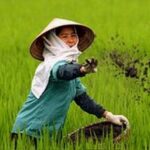 Η ακόλουθη ιστορία είναι απολύτως αληθής και αφορά τα οικονομικά "προβλήματα" που αντιμετωπίζει η Νορβηγία