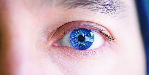 blue-left-eye