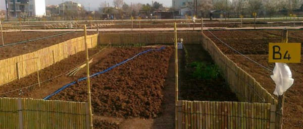 Φτιάχνουν λαχανόκηπο για άπορους και άνεργους στη Θεσσαλονικη