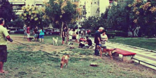 Ετοιμάζεται πάρκο σκύλων στην Κάτω Τούμπα