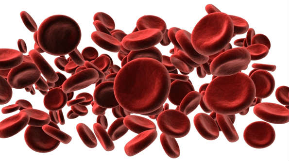 recent-blood-cell-news