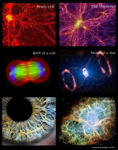 brain-cell-the-universe-birth-of-a-cell-death-of-a-star-eye-nebula