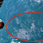 Είναι η Ατλαντίδα που Φαίνεται από το Διάστημα Κάτω από τον Ωκεανό, όπως την Κατέγραψε ο ΔΔΣ, ή ένα ψηφιακό σφάλμα;